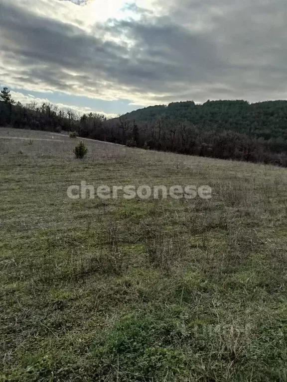 Участок в Севастополь с. Терновка, ул. Зеленая (4.45 сот.) - Фото 1