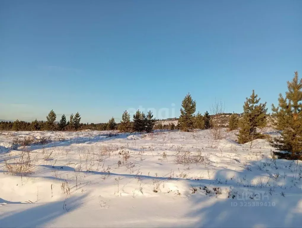 Участок в Бурятия, Тарбагатайский район, Саянтуйское с/пос, с. Нижний ... - Фото 1