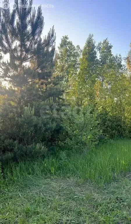 Участок в Липецк, СНТ имени Мичурина, Заовражная улица (8 м) - Фото 2