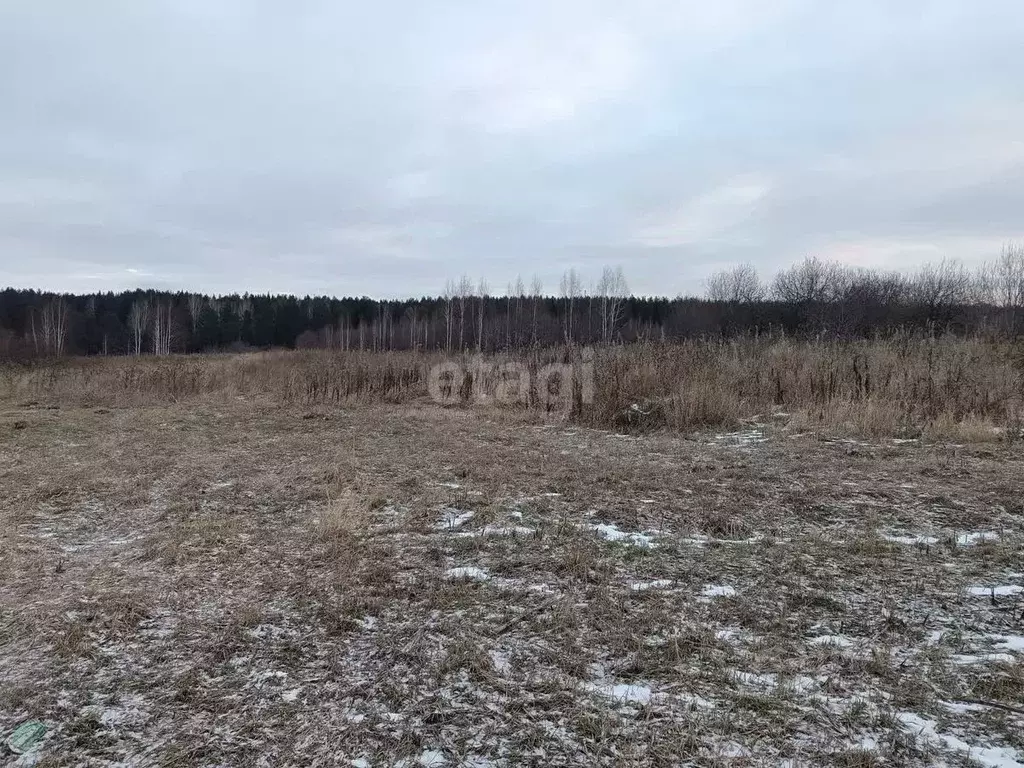 Участок в Свердловская область, Нижний Тагил ул. 3-я Лазурная (12.0 ... - Фото 1