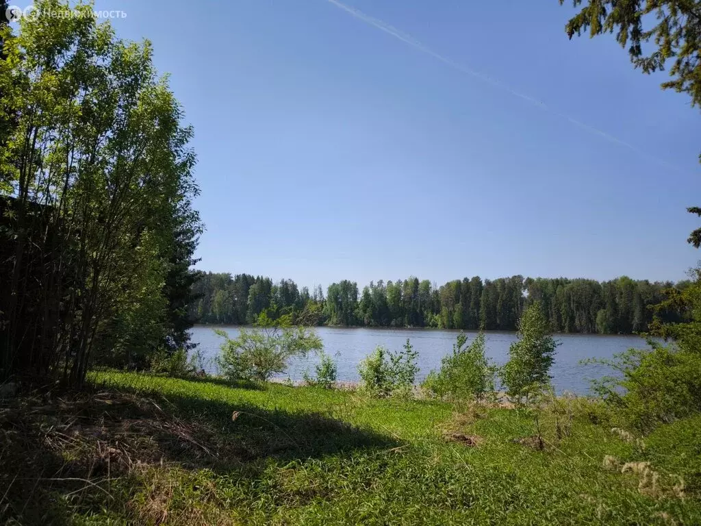 Участок в Пермский край, Частинский муниципальный округ, деревня ... - Фото 1
