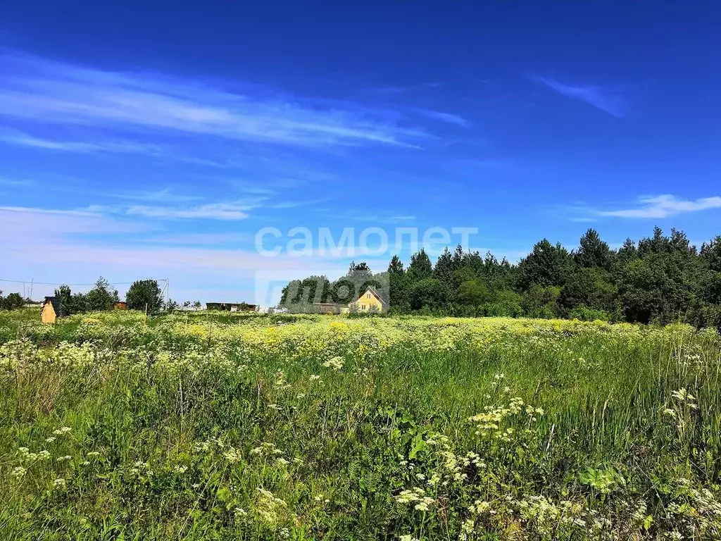 Участок в Тюменская область, Тюменский муниципальный округ, с. ... - Фото 1