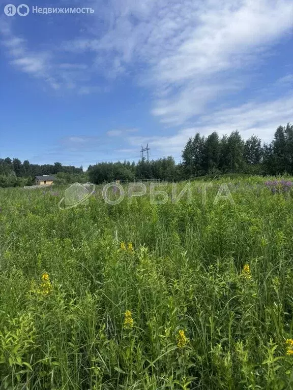 Участок в Тюменский район, село Чикча (7 м) - Фото 0