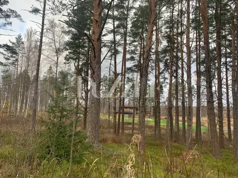 Участок 9 сот. (СНТ, ДНП) - Фото 1
