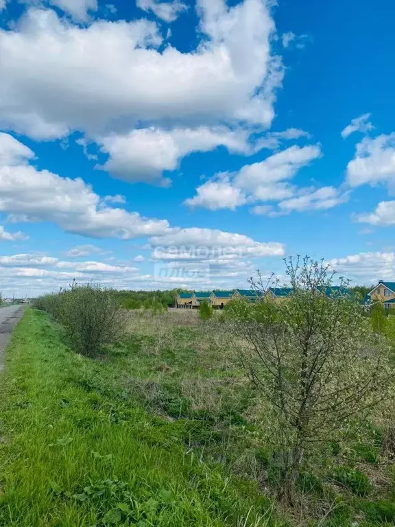 Участок в Нижегородская область, Бор городской округ, д. Каликино ул. ... - Фото 1