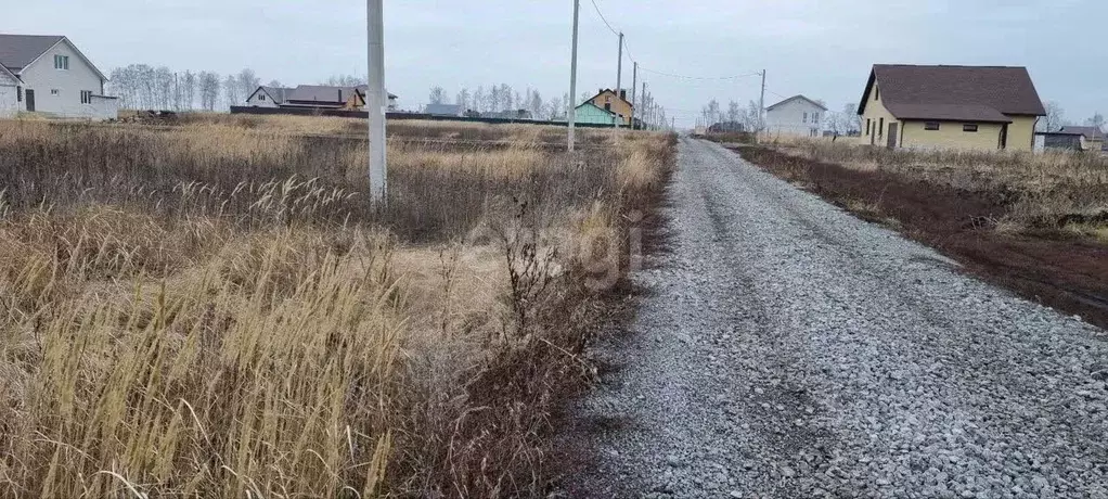 участок в воронежская область, с. новая усмань ул. минина (10.0 сот.) - Фото 0