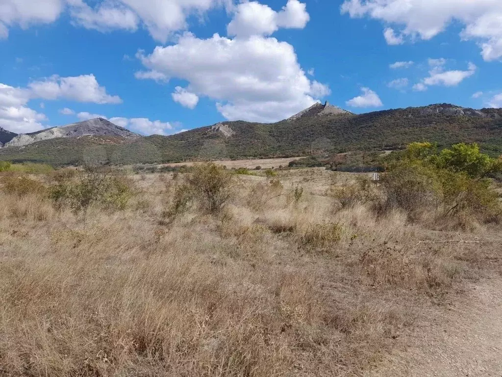 Участок в Крым, Феодосия муниципальный округ, Щебетовка пгт ул. ... - Фото 2