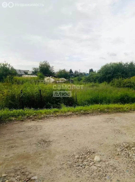 Участок в Шелехов, СНТ Дружба, 116 (9.8 м) - Фото 0