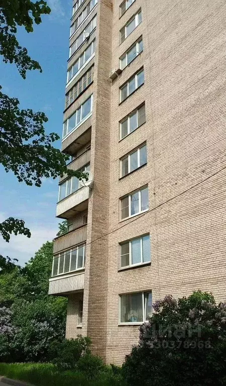 2-к кв. Санкт-Петербург Меншиковский просп., 1А (55.0 м) - Фото 2