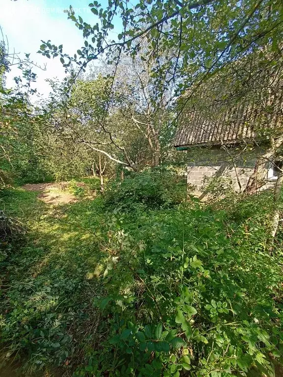 Участок в Смоленск, СТ Восток (5.4 м) - Фото 1