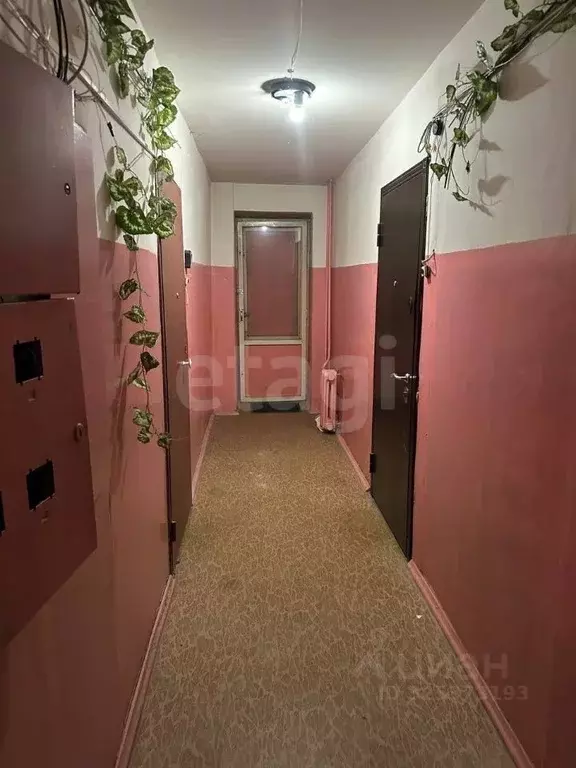 1-к кв. Ленинградская область, Волхов Ярвенпяя ул., 5а (28.3 м) - Фото 1