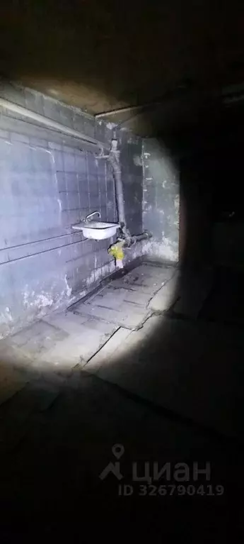 Помещение свободного назначения в Алтайский край, Барнаул ул. ... - Фото 2