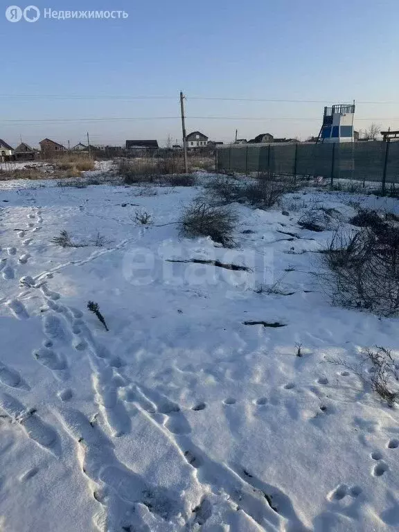 Участок в Ольгинское сельское поселение, садоводческое товарищество ... - Фото 1