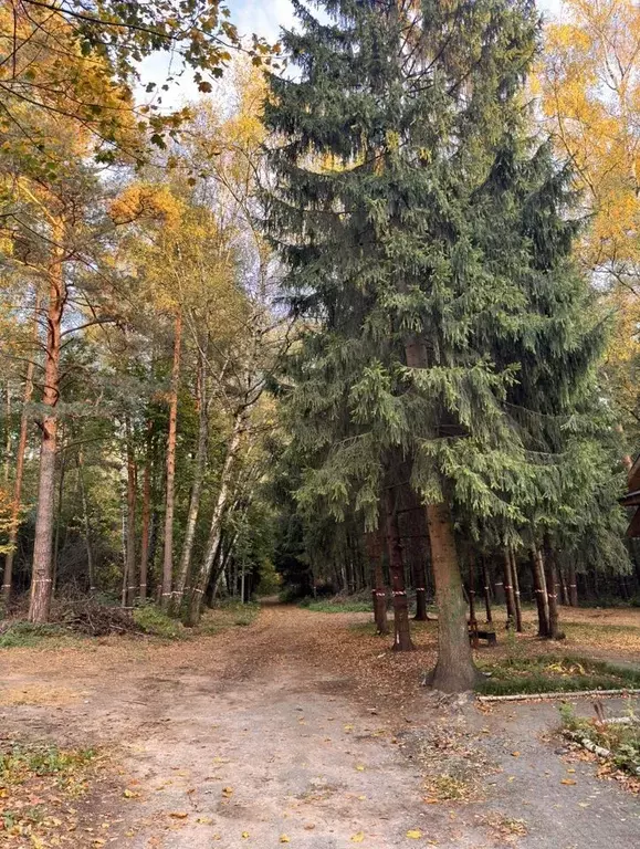 Участок в Московская область, Люберцы городской округ, Малаховка рп  ... - Фото 0