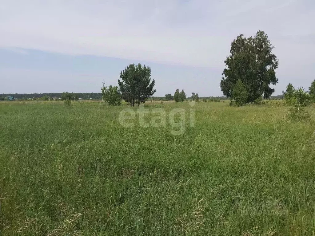 Участок в Алтайский край, Бийский район, Зверовод СДТ ул. Молодежная ... - Фото 1