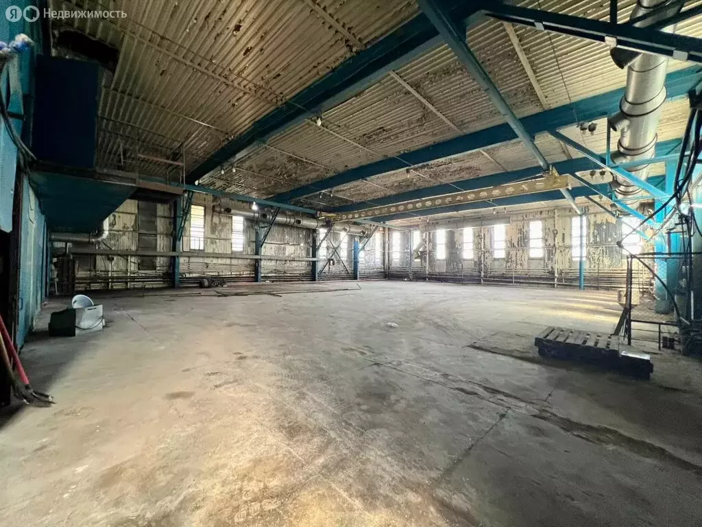 Помещение свободного назначения (900 м) - Фото 0