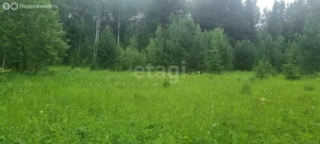 Участок в Свердловская область, городской округ Нижний Тагил, посёлок ... - Фото 1