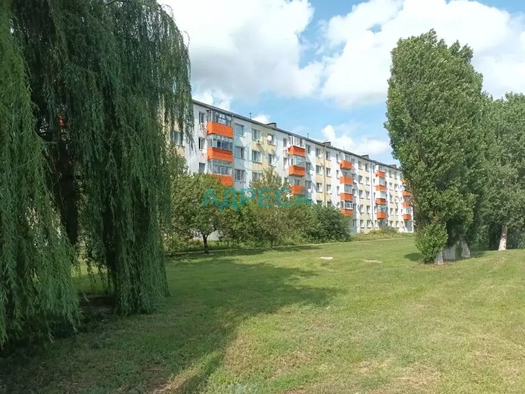 1-к кв. Белгородская область, Новый Оскол Дорожная ул., 9 (28.3 м) - Фото 1