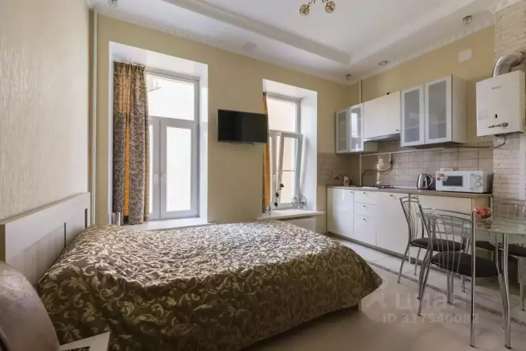 1-к кв. Санкт-Петербург наб. Реки Мойки, 10 (21.0 м) - Фото 1