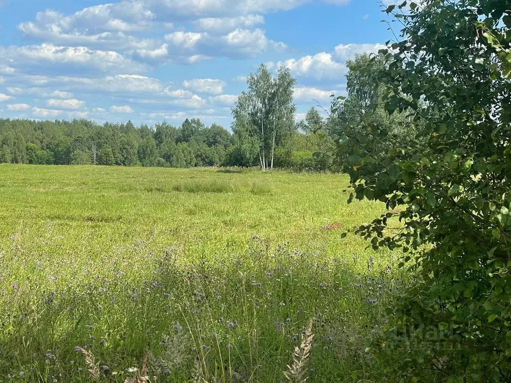 Участок в Московская область, Клин городской округ, д. Тиликтино  ... - Фото 0