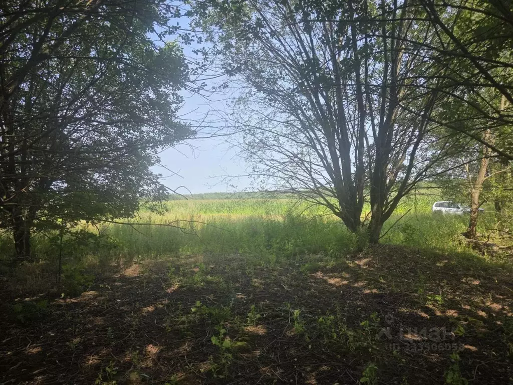 Участок в Московская область, Клин городской округ, д. Елгозино  ... - Фото 1