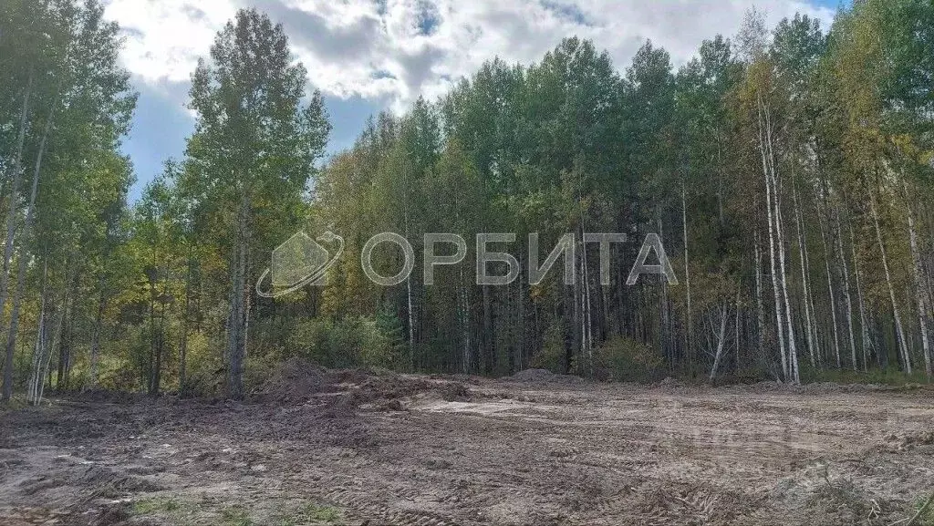 Участок в Тюменская область, Нижнетавдинский район, пос. Мияги  (10.0 ... - Фото 0