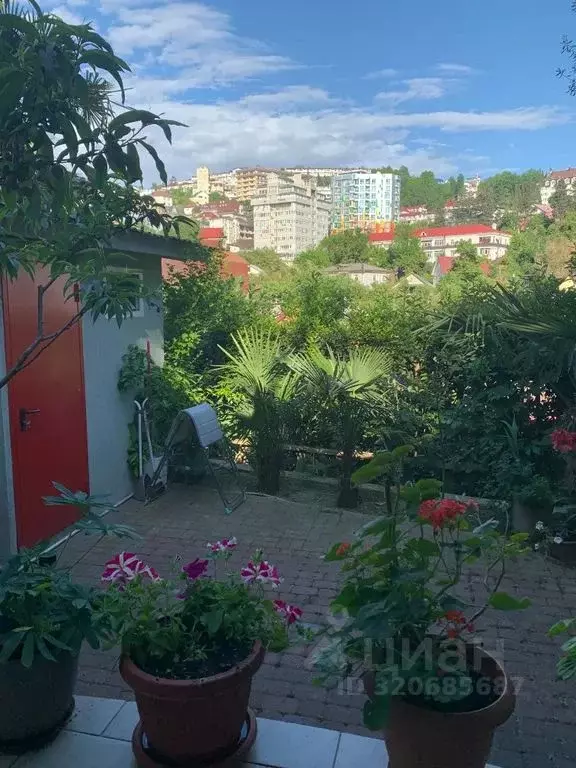 Дом в Краснодарский край, Сочи Пионерская ул., 36Б (30 м) - Фото 0