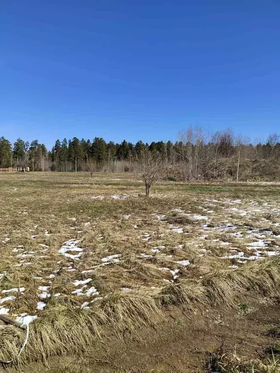 Участок в Тюменская область, Нижнетавдинский район, Тюневское с/пос  ... - Фото 0