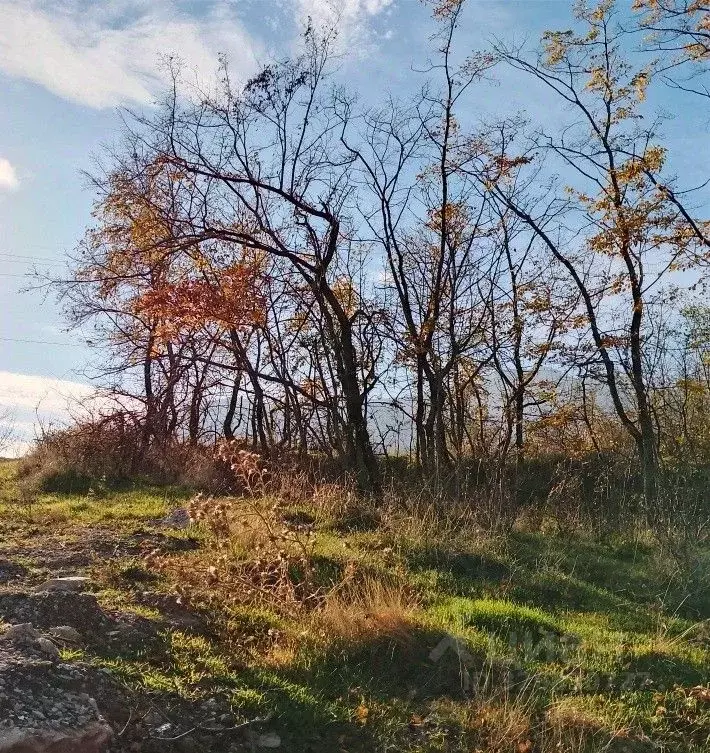 Участок в Крым, Алушта муниципальный округ, с. Генеральское ул. ... - Фото 1