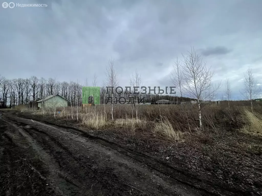 Участок в Орловский муниципальный округ, посёлок Надежда, Калиновая ... - Фото 2