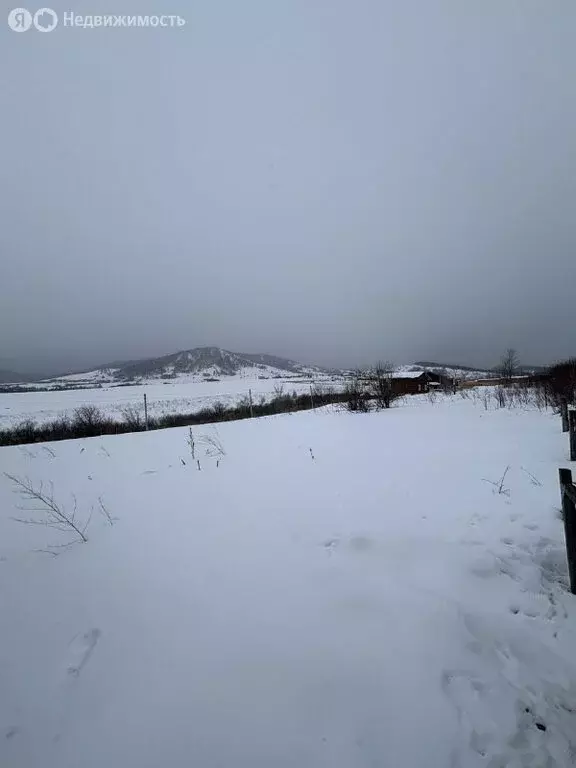 Участок в Белокуриха, Камчатская улица, 55 (15 м) - Фото 2