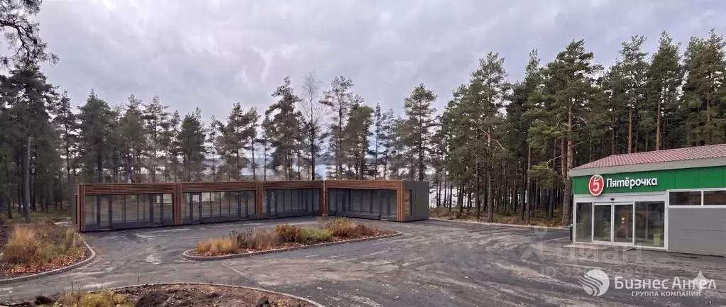 Помещение свободного назначения в Ленинградская область, Выборгский ... - Фото 1