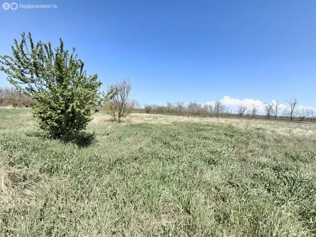 Участок в село Кухаривка, улица Свободы (15.6 м) - Фото 1