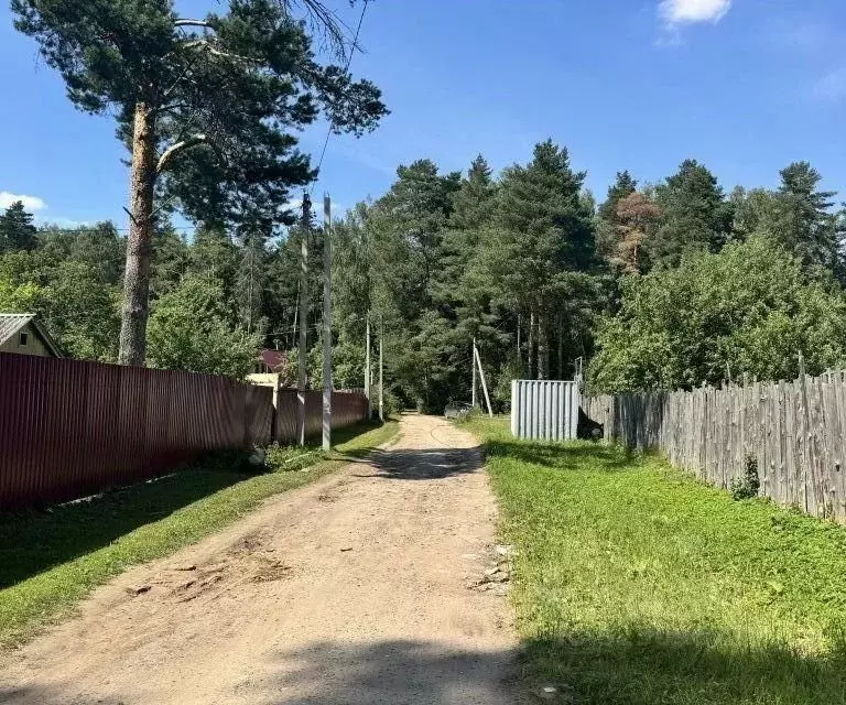 Участок в Московская область, Богородский городской округ, Купавна СНТ ... - Фото 1