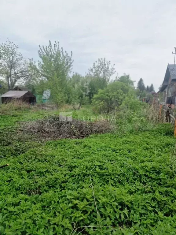 Участок 12 сот. (СНТ, ДНП) - Фото 1