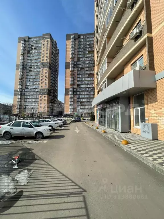 Торговая площадь в Ростовская область, Ростов-на-Дону ул. Пановой, ... - Фото 1