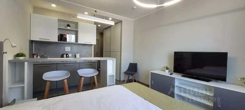 1-к кв. Санкт-Петербург Витебский просп., 101к1 (25.0 м) - Фото 1