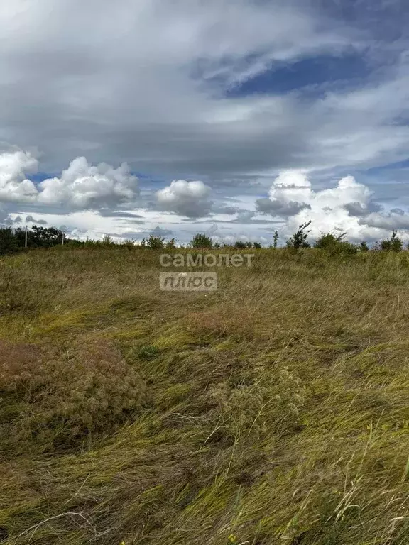 Участок в Воронежская область, Рамонский район, с. Русская Гвоздевка ... - Фото 0