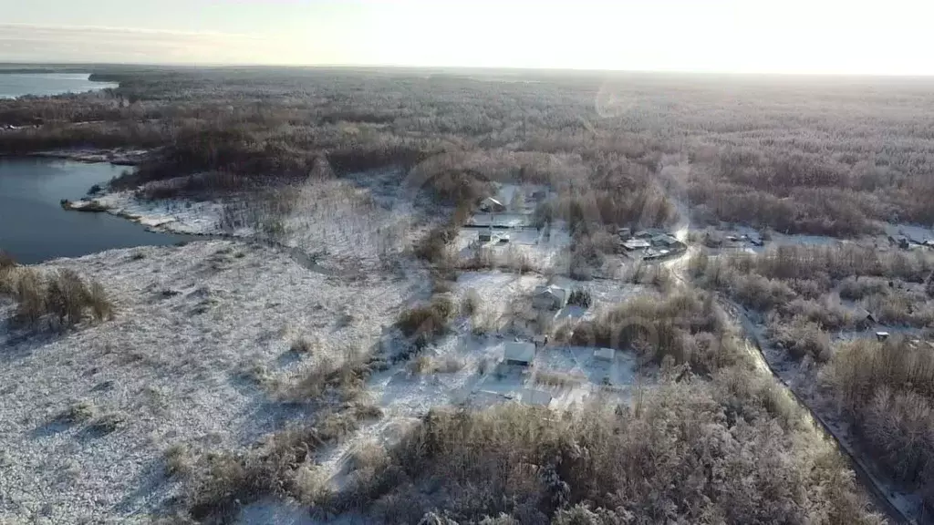 Участок в Ленинградская область, Приозерский район, Громовское с/пос, ... - Фото 2