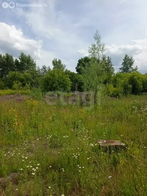 Участок в Викулово, улица Автомобилистов (11 м) - Фото 1
