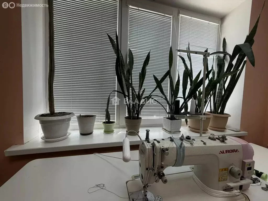 Офис (61.8 м) - Фото 2