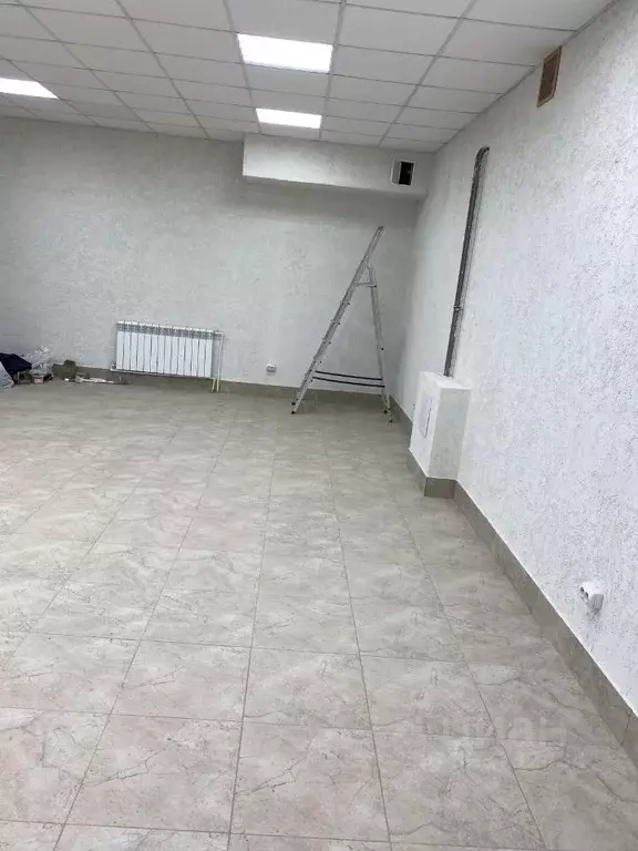 Помещение свободного назначения в Омская область, Омск ул. Димитрова, ... - Фото 1