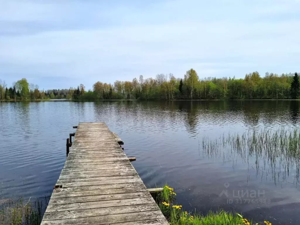 Дом в Новгородская область, Валдайский район, Костковское с/пос, д. ... - Фото 0