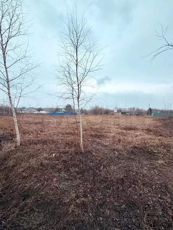 Участок 14 сот. (СНТ, ДНП) - Фото 1