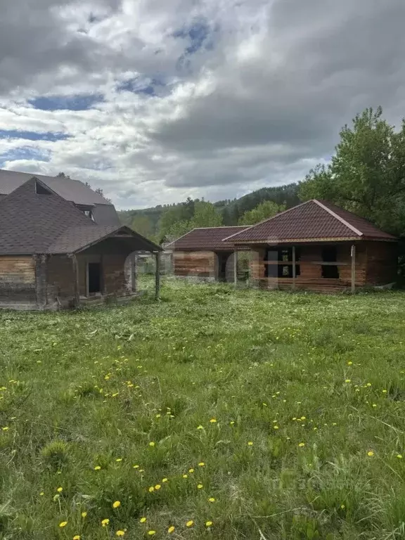 Участок в Алтай, Майминский район, Соузгинское с/пос, пос. Черемшанка ... - Фото 1