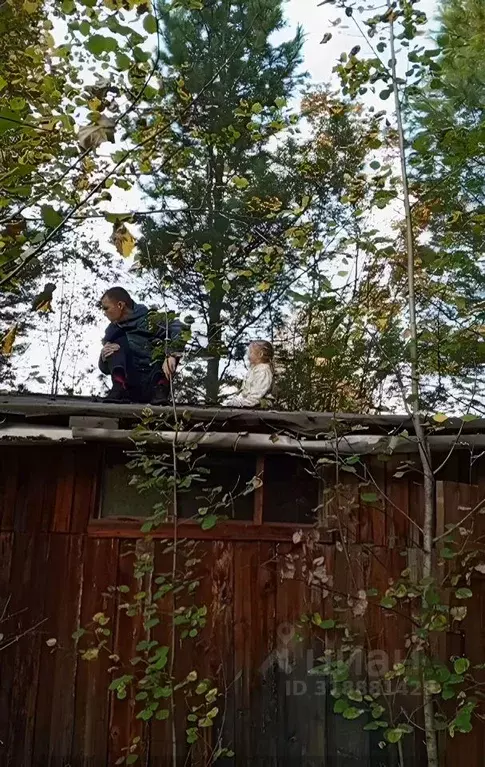 Участок в Свердловская область, Серовский муниципальный округ, ... - Фото 1