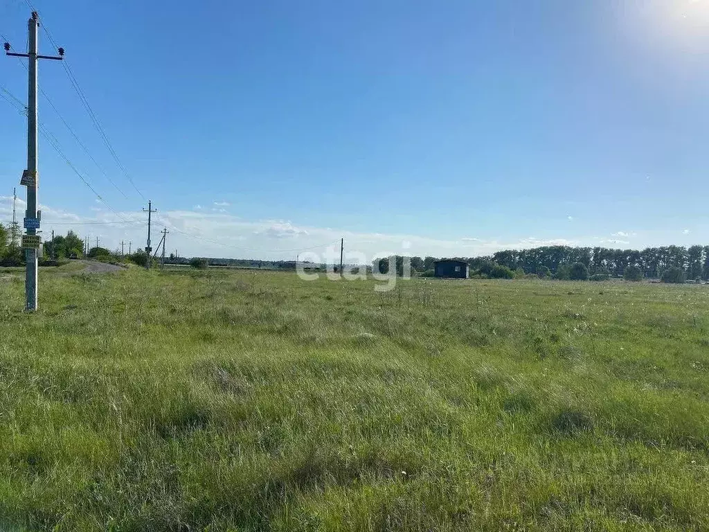 Участок в Воронежская область, с. Новая Усмань ул. Крымская, 10 (10.0 ... - Фото 0