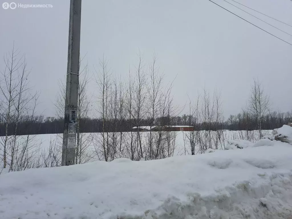 Участок в Московская область, Раменский муниципальный округ, село ... - Фото 2