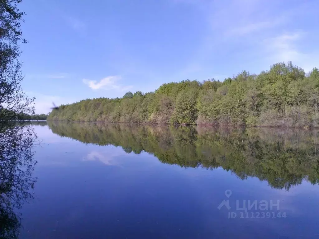 Участок в Нижегородская область, Заволжье г. Городецкий муниципальный ... - Фото 1