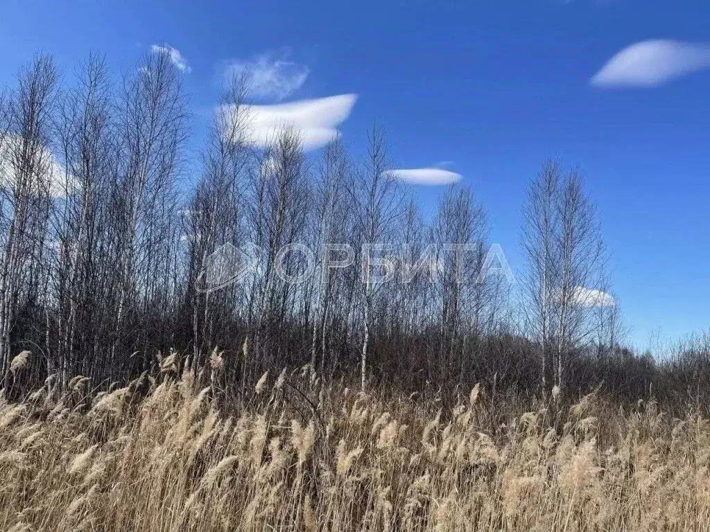 Участок в Тюменская область, Нижнетавдинский муниципальный округ, ... - Фото 1